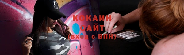 стафф Зеленокумск