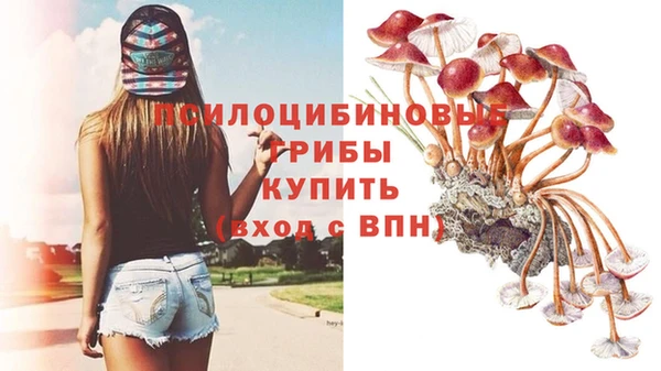 марихуана Заволжск